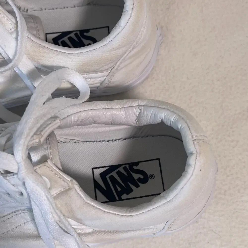 Vans sleek versatile